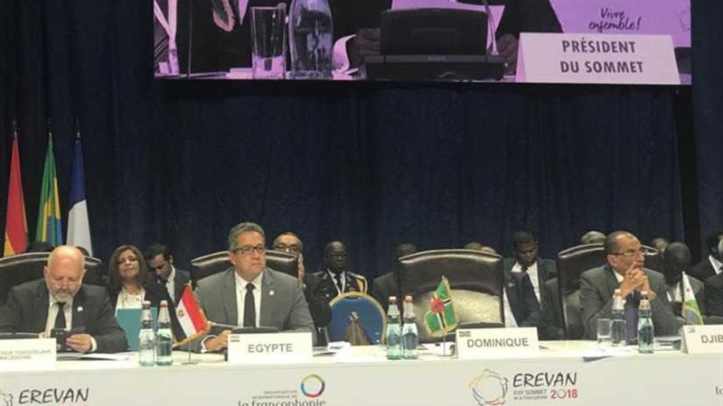 العناني يشارك في