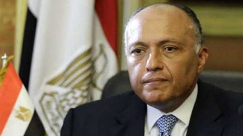 غدا.. شكري يجري مباحثات