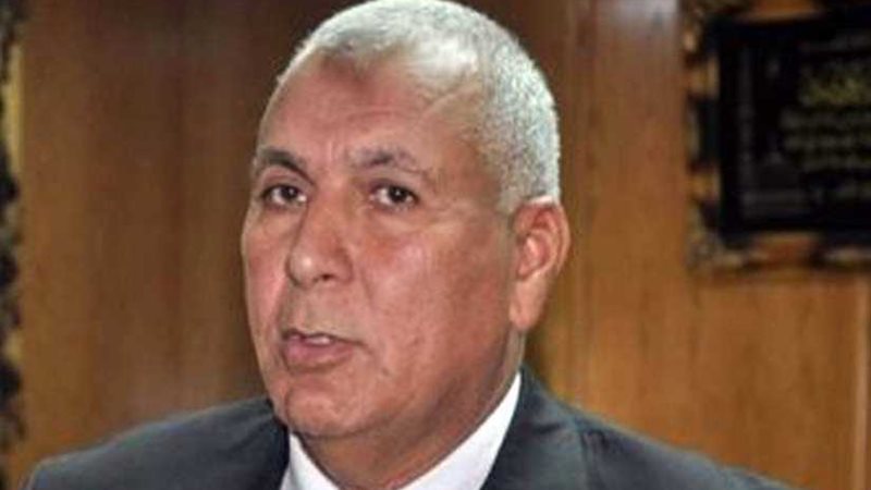 محافظ الوادي الجديد: