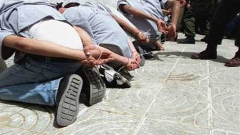 ضبط تشكيل عصابي تخصص