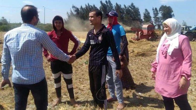 البيئة: 258 حملة