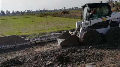 إزالة 8 حالات تعد على أراضٍ زراعية بالمنزلة