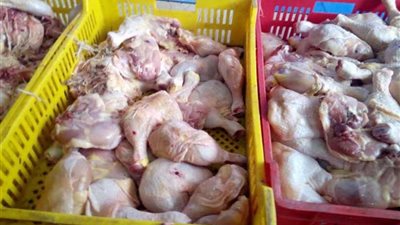 ضبط 1.3طن دواجن مجهولة المصدر في التبين