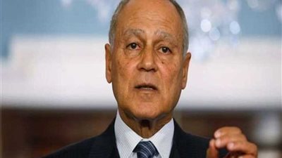 أبو الغيط يؤكد ضرورة الحفاظ على ثبات موقف الاتحاد الأوروبي تجاه حل الدولتين