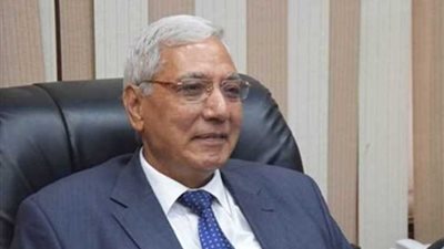 ضبط 246 قضية تموينية في الدقهلية