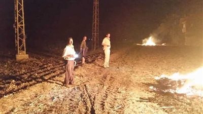 تحرير 5 محاضر بيئية لمزارعين يحرقون المخلفات الزراعية بأبوتيج..صور
