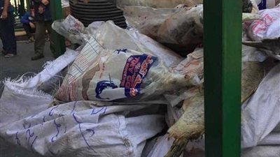 إعدام 2 طن لحوم وأسماك فاسدة بالقليوبية