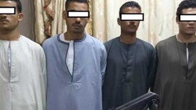 ضبط ٤ أشخاص مسلحين ينقبون عن الآثار بمنطقة مير الأثرية بأسيوط