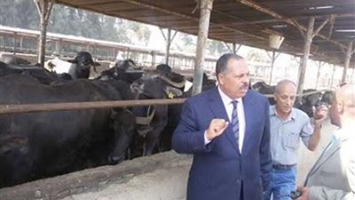سكرتير مساعد أسيوط يتفقد مزرعة الثروة الحيوانية بمنفلوط ومصنع الزيوت بالقوصية.. (صور)