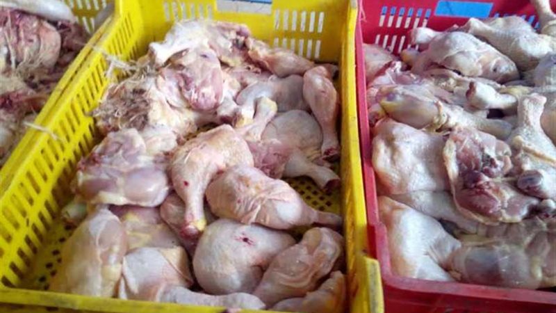 ضبط 1.3طن دواجن مجهولة