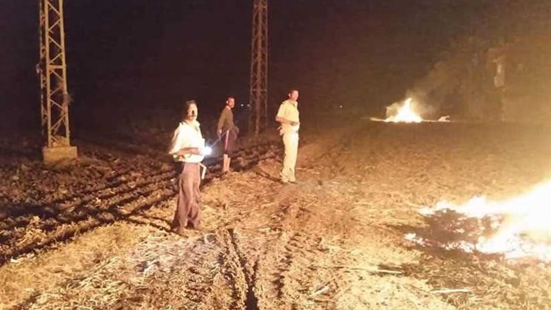 تحرير 5 محاضر بيئية