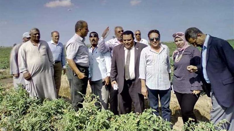 الزراعة تتابع الزراعات