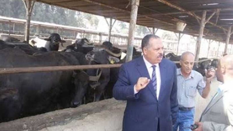 سكرتير مساعد أسيوط