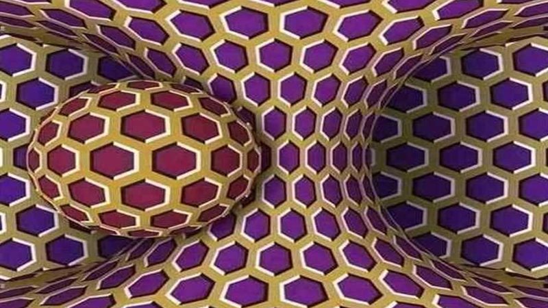 تعرف على حقيقة الصورة