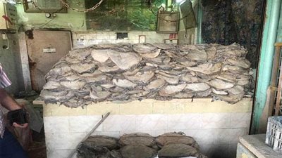 9 أطنان أحشاء معبأة داخل عبوات بدون تاريخ صلاحية بالخليفة