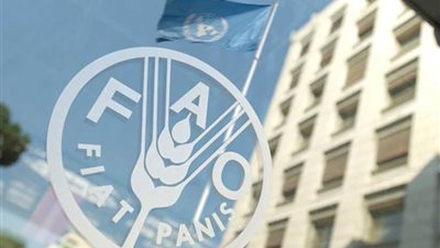 الفاو: مصر نجحت في تحقيق أمنها الغذائي بأساليب متطورة في الزراعة