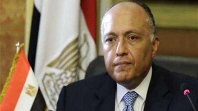 شكري يتوجه اليوم إلى الرياض حاملا رسالة من الرئيس السيسي إلى الملك سلمان