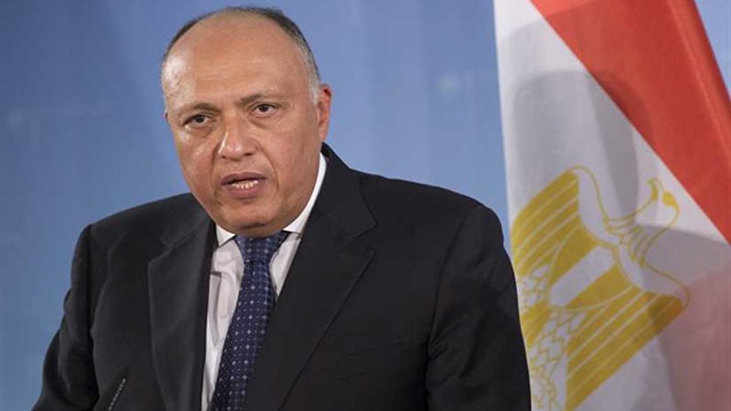 شكري: نقدر التنسيق