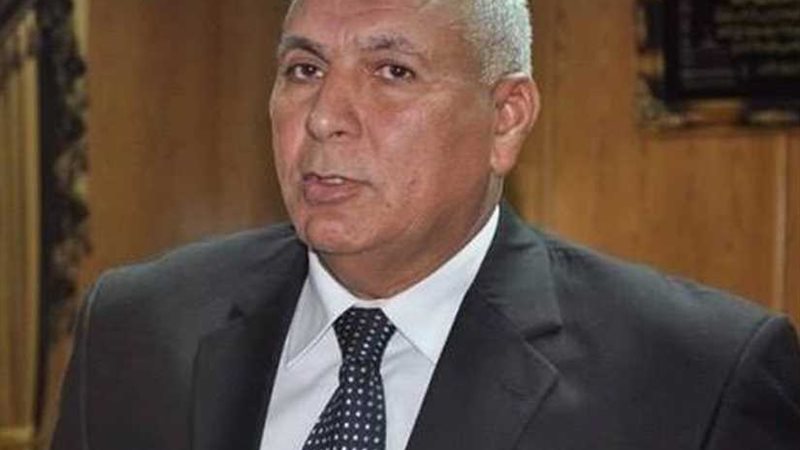 محافظ الوادي الجديد