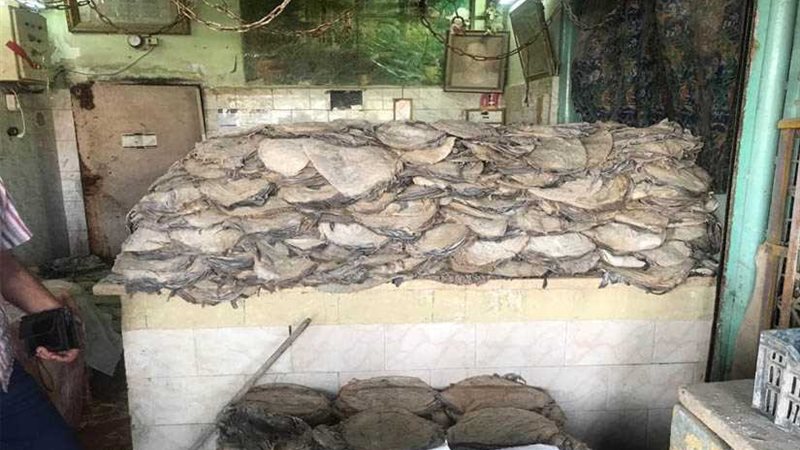 9 أطنان أحشاء معبأة