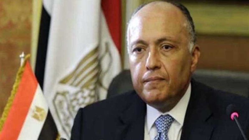 شكري يتوجه اليوم