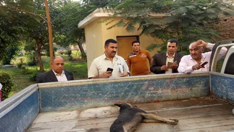 سلعوة تثير ذعر الأهالي