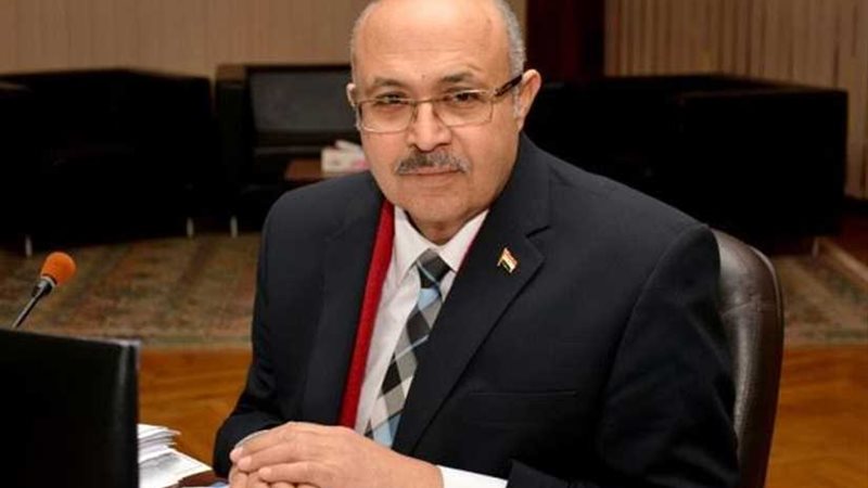 نائب رئيس جامعة طنطا: