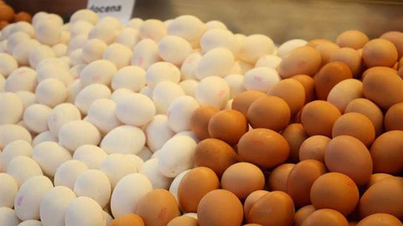 مدير مباحث السجون: