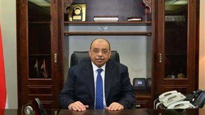 وزير التنمية المحلية يجتمع بكوادر شابة من الحاصلين على الماجستير في إدارة الأعمال