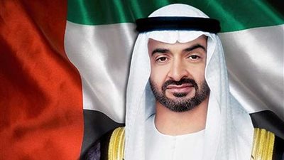 الإمارات والنمسا تبحثان سبل تطوير العلاقات الثنائية