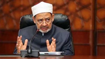 مدير مؤسسة بيرغهوف الألمانية يشيد بجهود شيخ الأزهر في ترسيخ قيم التعايش المشترك