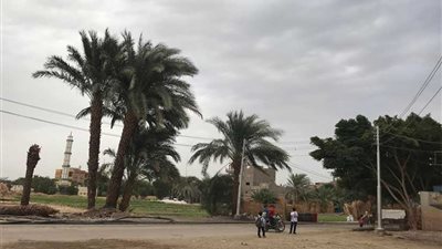 سقوط أمطار خفيفة بأسيوط والسحب تُغطي سماء المحافظة (صور)
