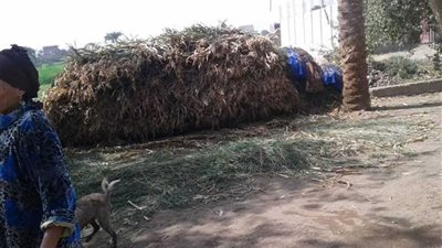 تحرير 64 محضرا لمواطنين قاموا بتشوين 