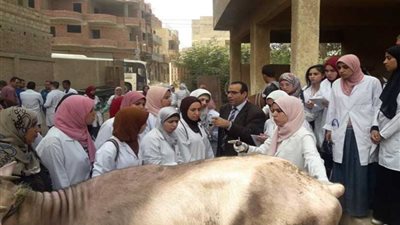 جامعة بنها تطلق قافلة بيطرية لـ