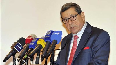 أمين عام اتحاد وكالات الأنباء العربية يطالب الأمم المتحدة بوضع ضوابط لمنع التضليل الإعلامي