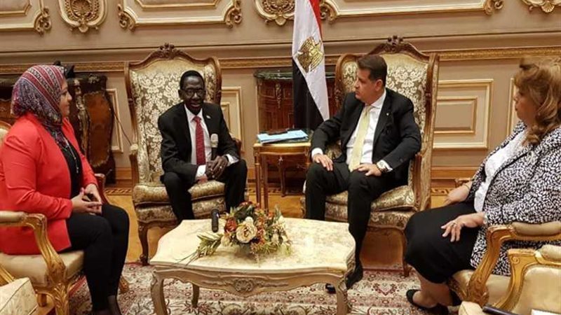 رضوان يستقبل السفير