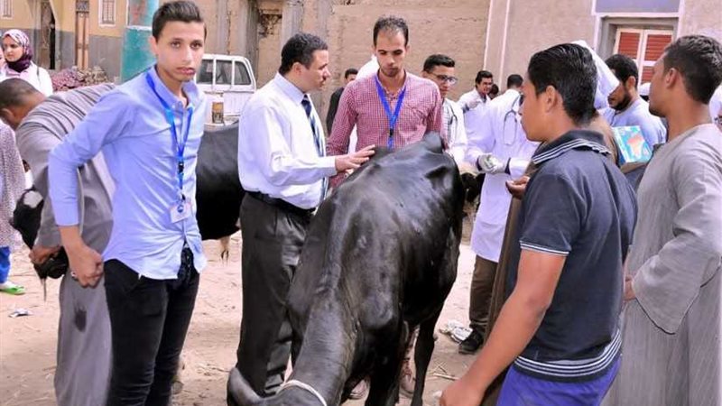 مستقبل وطن سوهاج