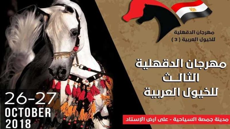 الدقهلية تستضيف مهرجان