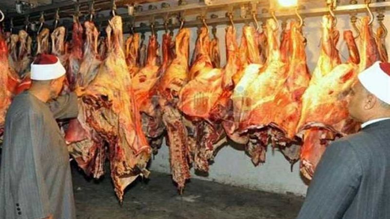توزيع ٢٧,٥ طن لحوم