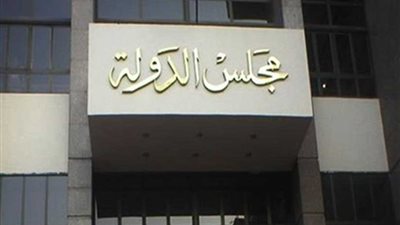 24 نوفمبر.. الحكم فى طعن الحكومة على استمرار منع حفيدة «مبارك» من السفر