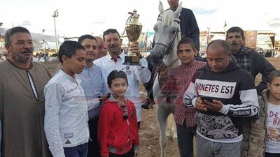 ختام فعاليات مهرجان الدقهلية للخيول العربية