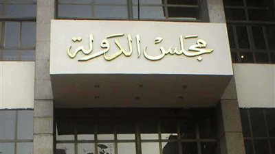 «مجلس الدولة»: انعقاد انتخابات الغرف السياحية في موعدها