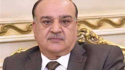 رسلان من مدريد: الرئيس السيسي أنقذ البسطاء من الآثار السلبية للإصلاح الاقتصادي