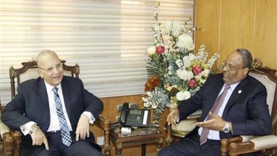 تعاون قضائي مصري- إماراتي.. وآخر فلسطيني