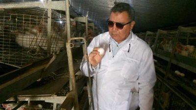 الطاقة الشمسية تضيء مشروعات بني سويف