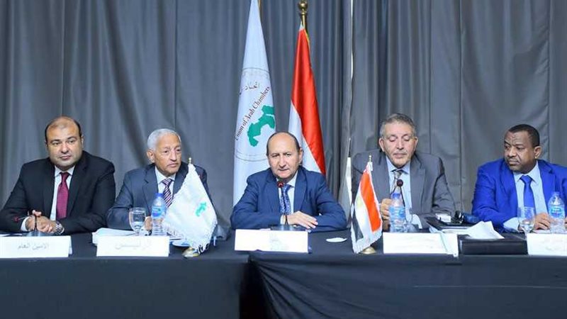 عمرو نصار: تحقيق