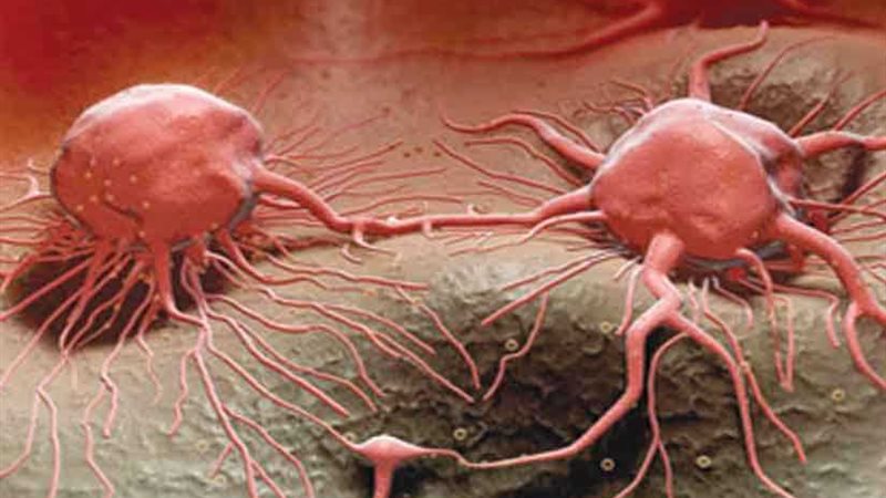 هل السرطان مرض معدٍ؟..