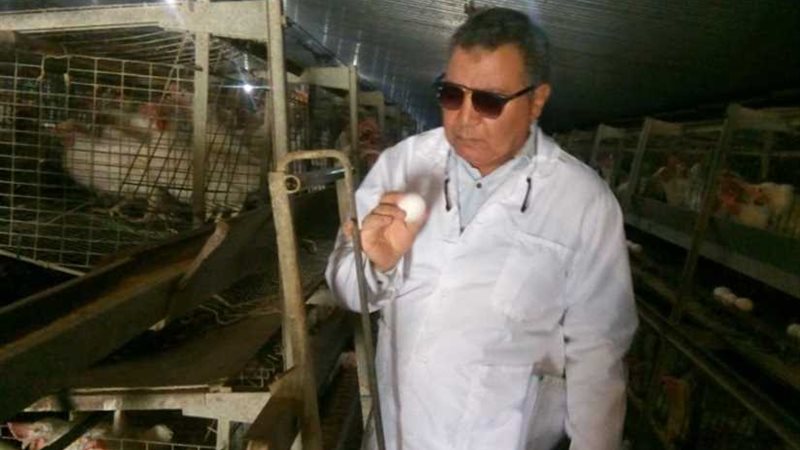 الطاقة الشمسية تضيء