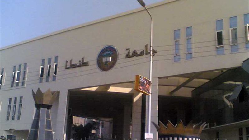 دور العلوم الإنسانية