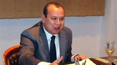 محافظ كفر الشيخ يقرر تحويل قرية مسير إلى مدينة